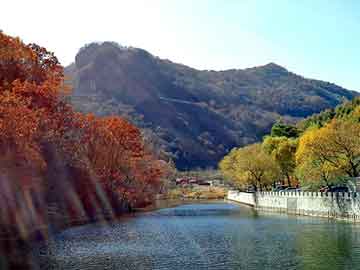 新澳门二四六天天彩，海东物流